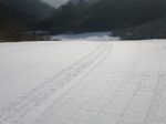 IMGP0982.JPG